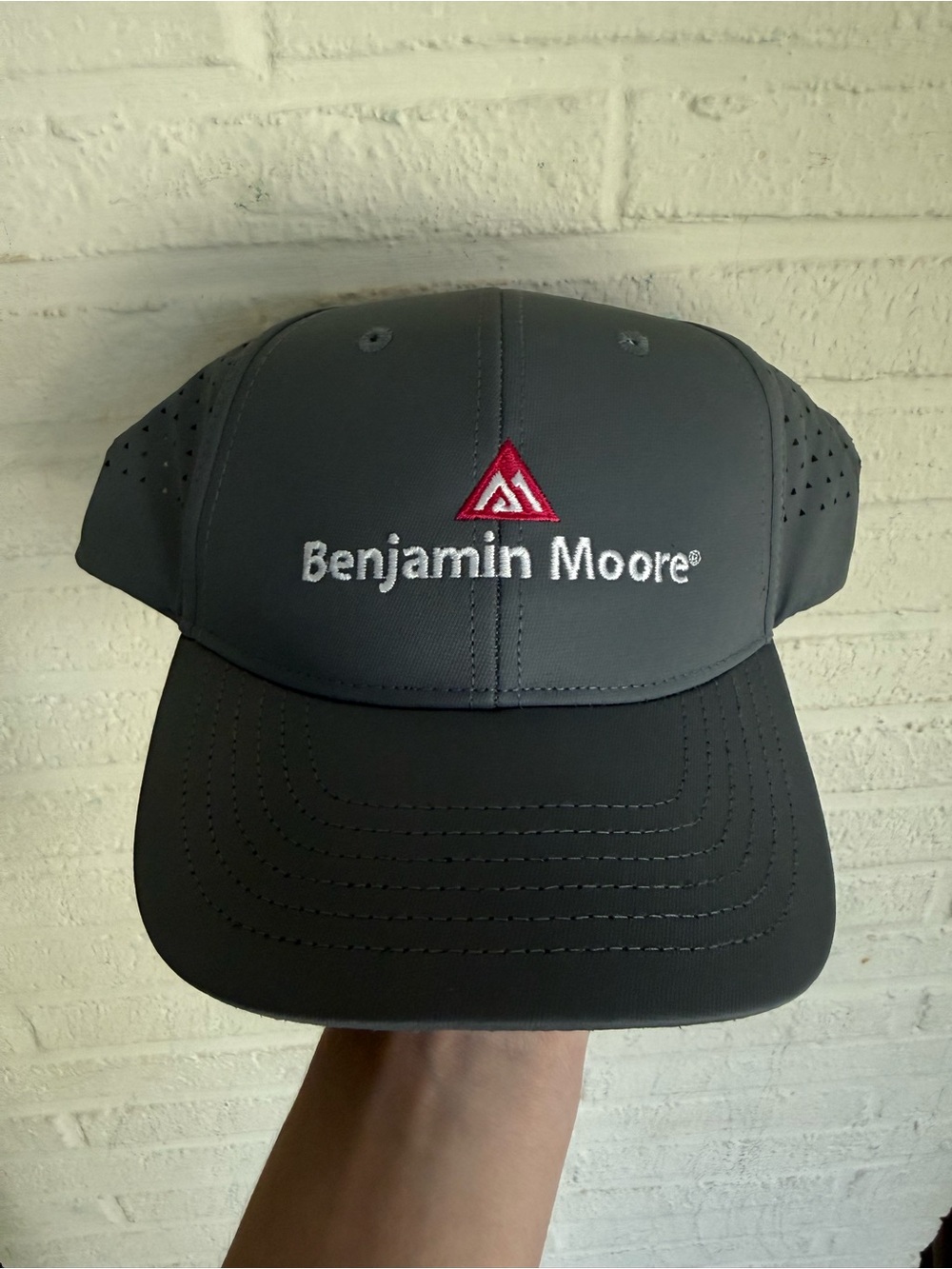 Benjamin Moore Gray Logo Baseball Cap